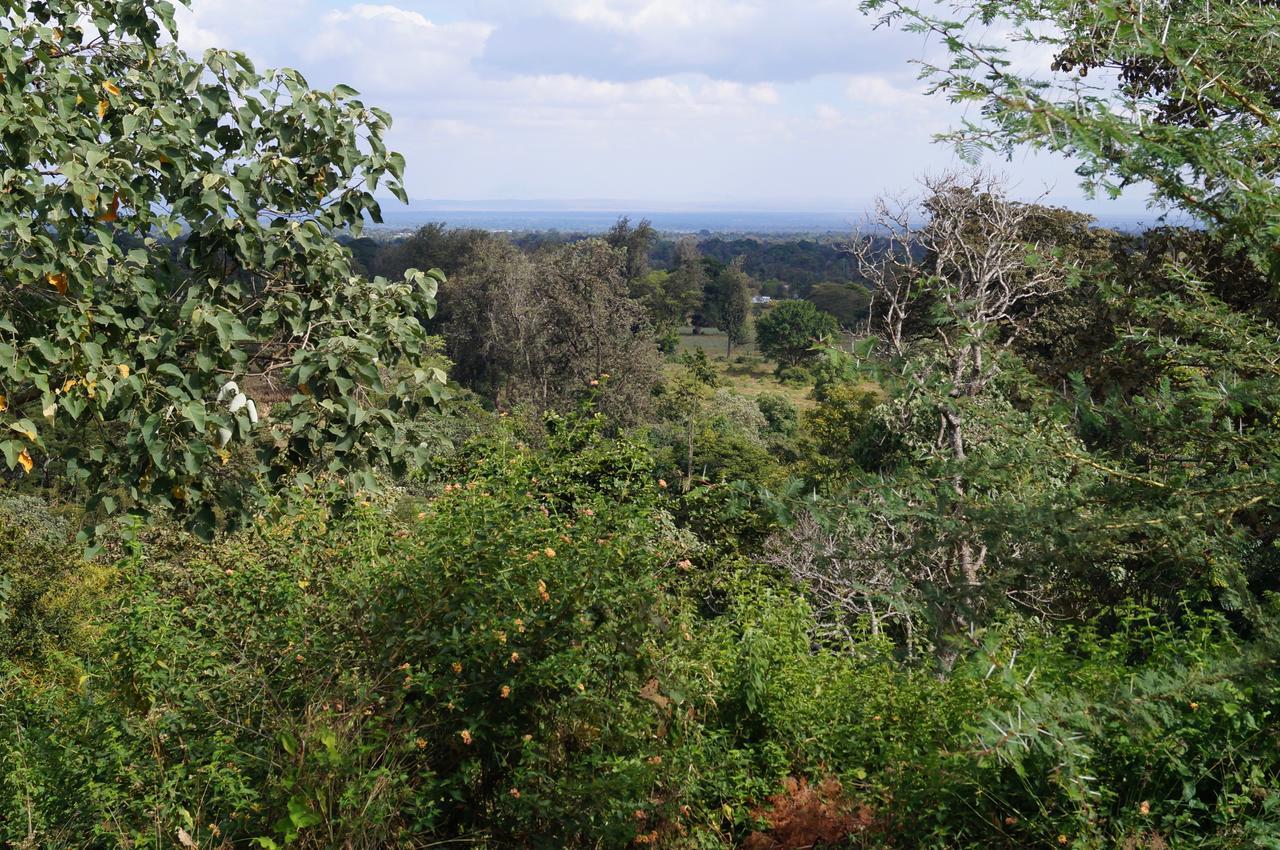Arusha Villa Karamu Coffee Estate Usa River Extérieur photo